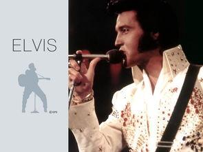 特工猫王,猫界特工的神秘冒险之旅