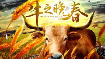 牛之晚春,探寻农耕文化的诗意与变迁